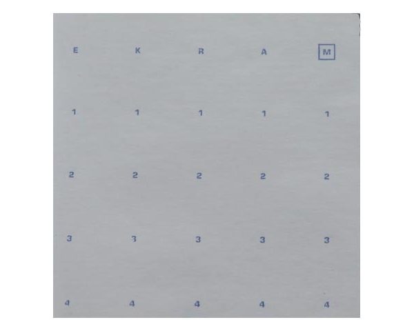 termo spt marked